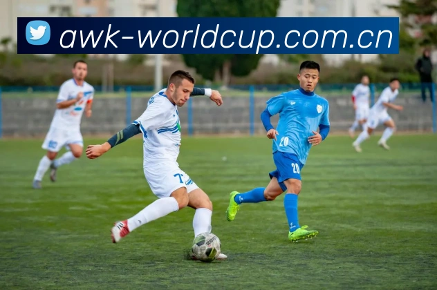 2026世界杯 APP 界面演示