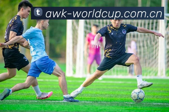 2026世界杯 多端展示